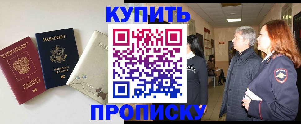 где прописаться в Ельне